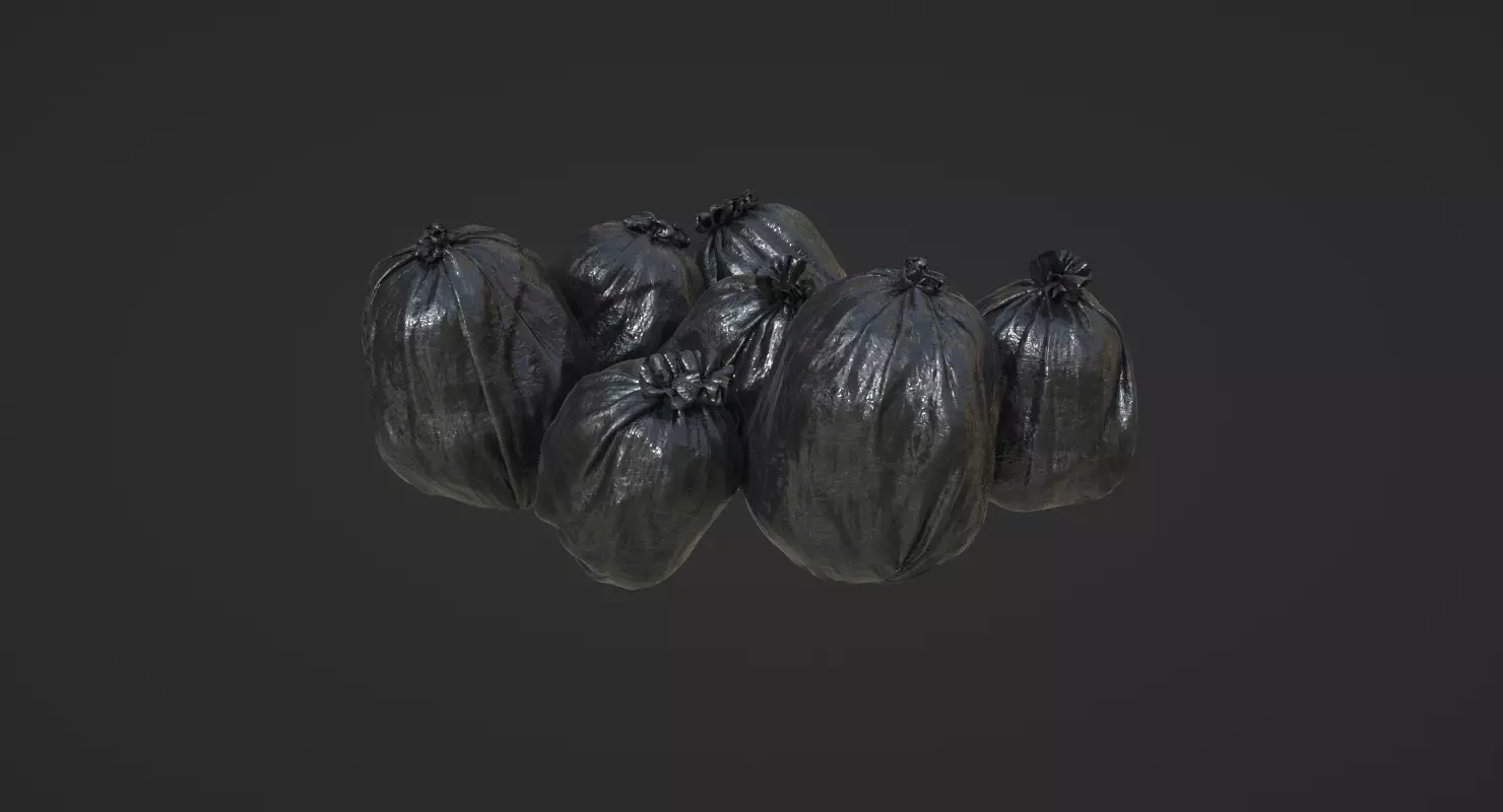 Plastic Bags 3D model_0