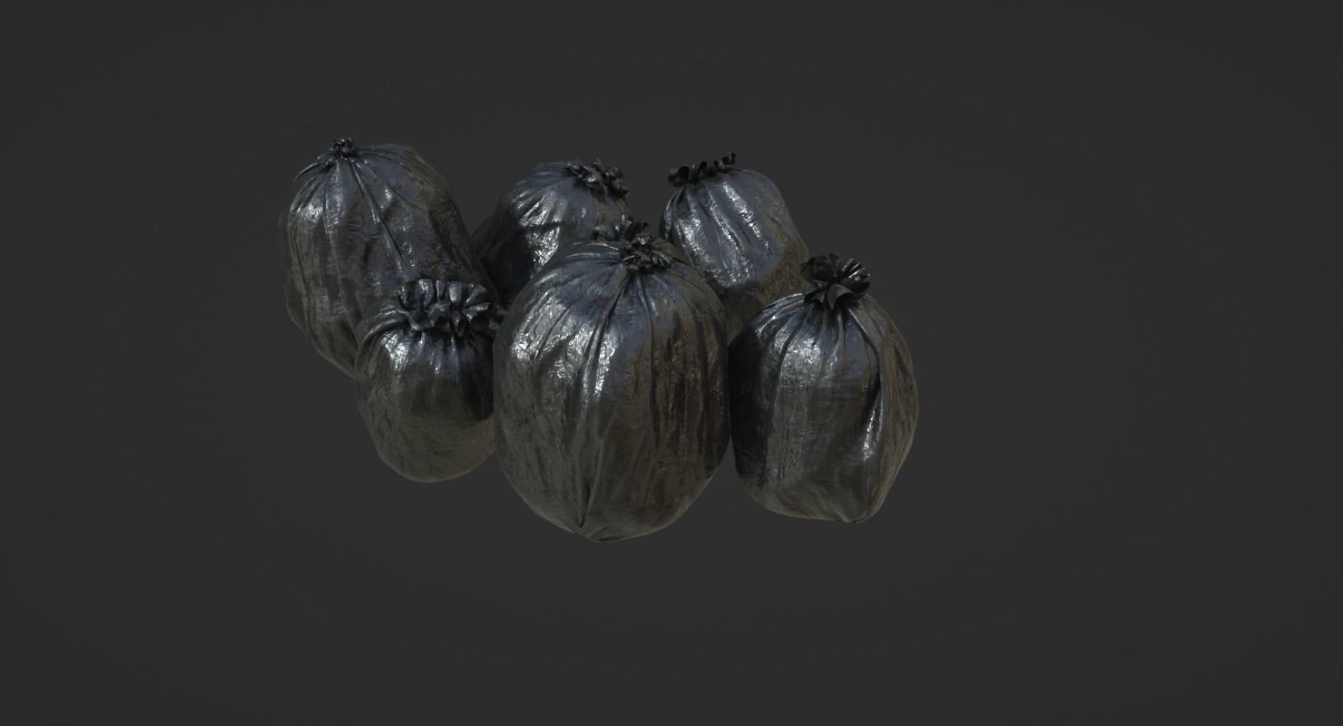 Plastic Bags 3D model_2