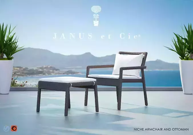 NICHE Lounge and Ottoman from Janus et Cie