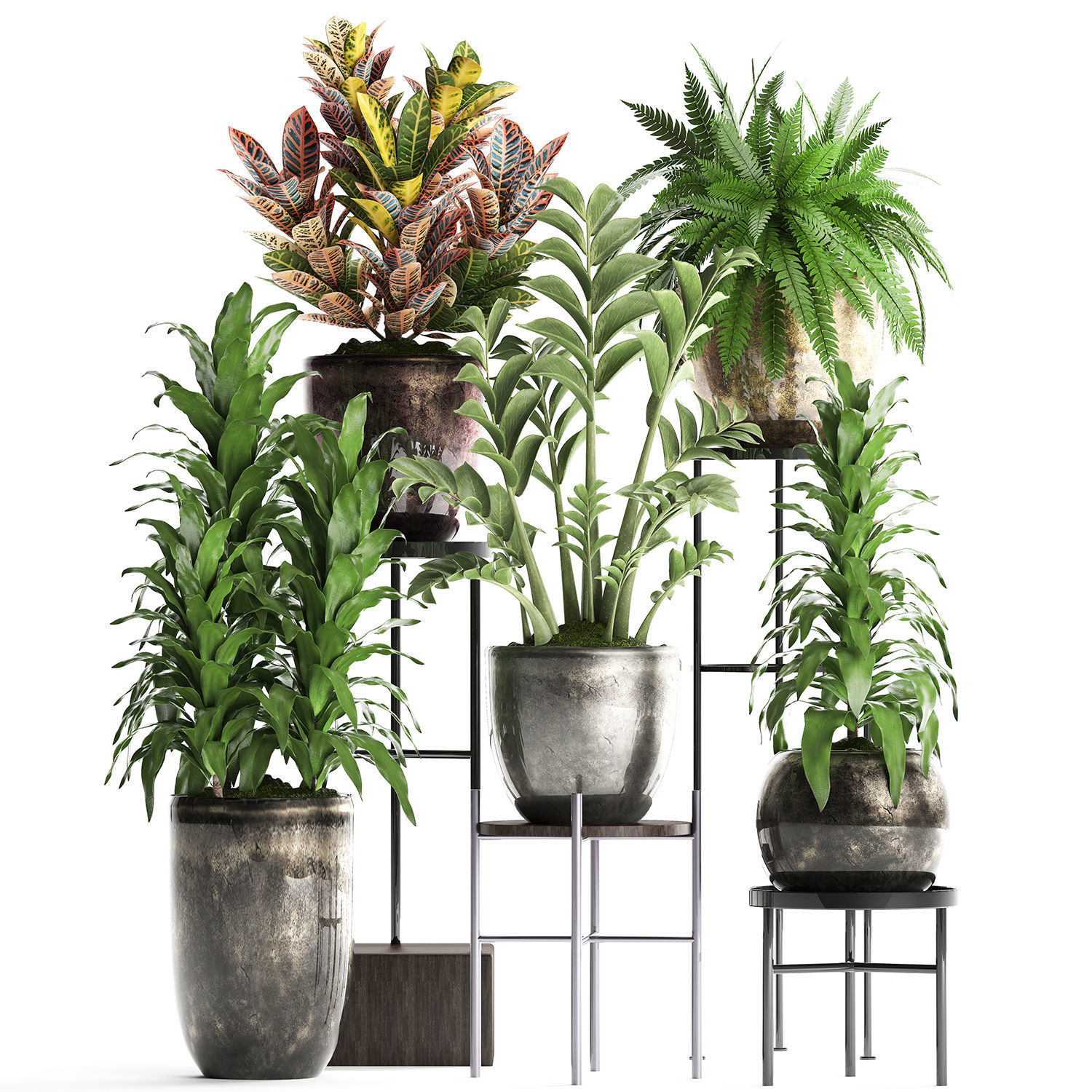 Collection Exotic plants 362 3D model_4