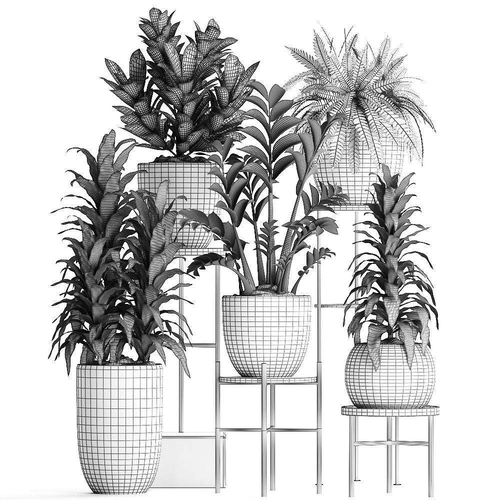 Collection Exotic plants 362 3D model_12