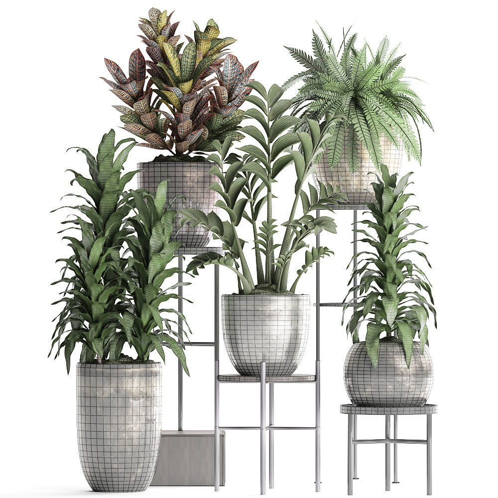 Collection Exotic plants 362 3D model_11