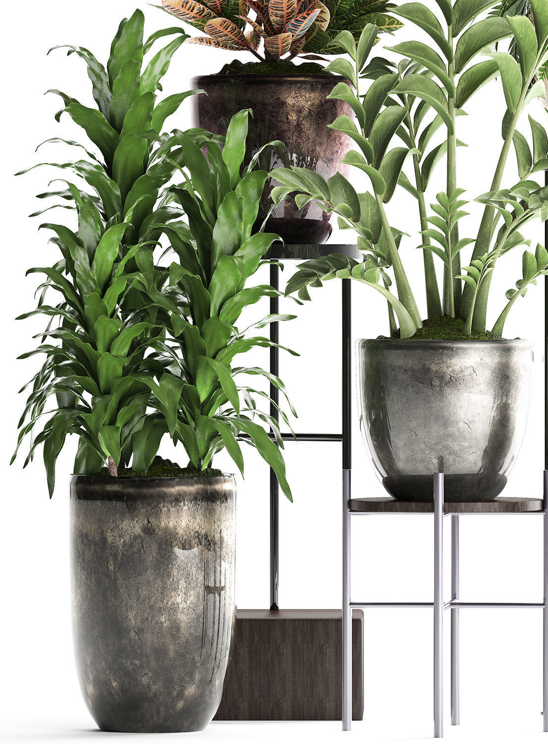 Collection Exotic plants 362 3D model_6