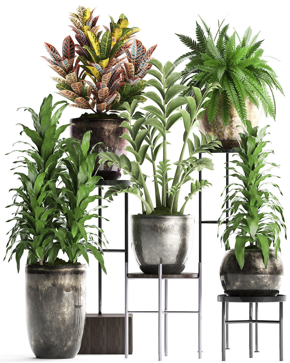 Collection Exotic plants 362 3D model_5