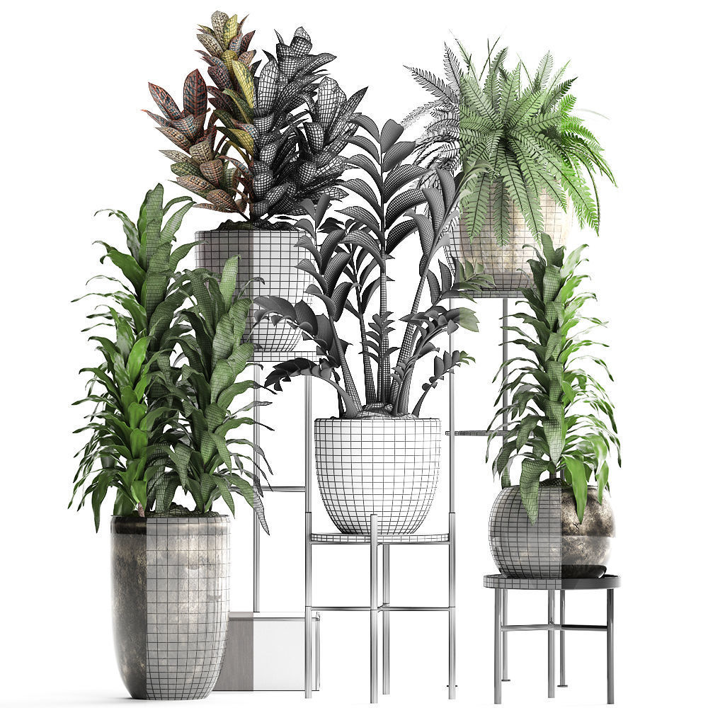 Collection Exotic plants 362 3D model_7