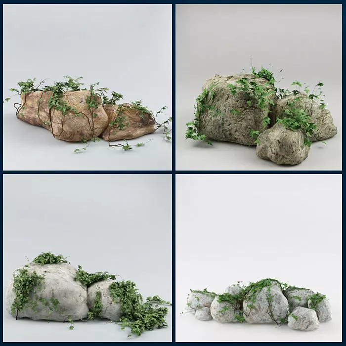 Ivy and stone Collection 3D model