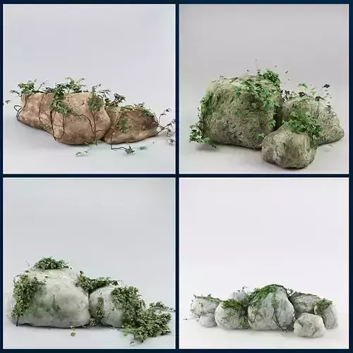 Ivy and stone Collection 3D model