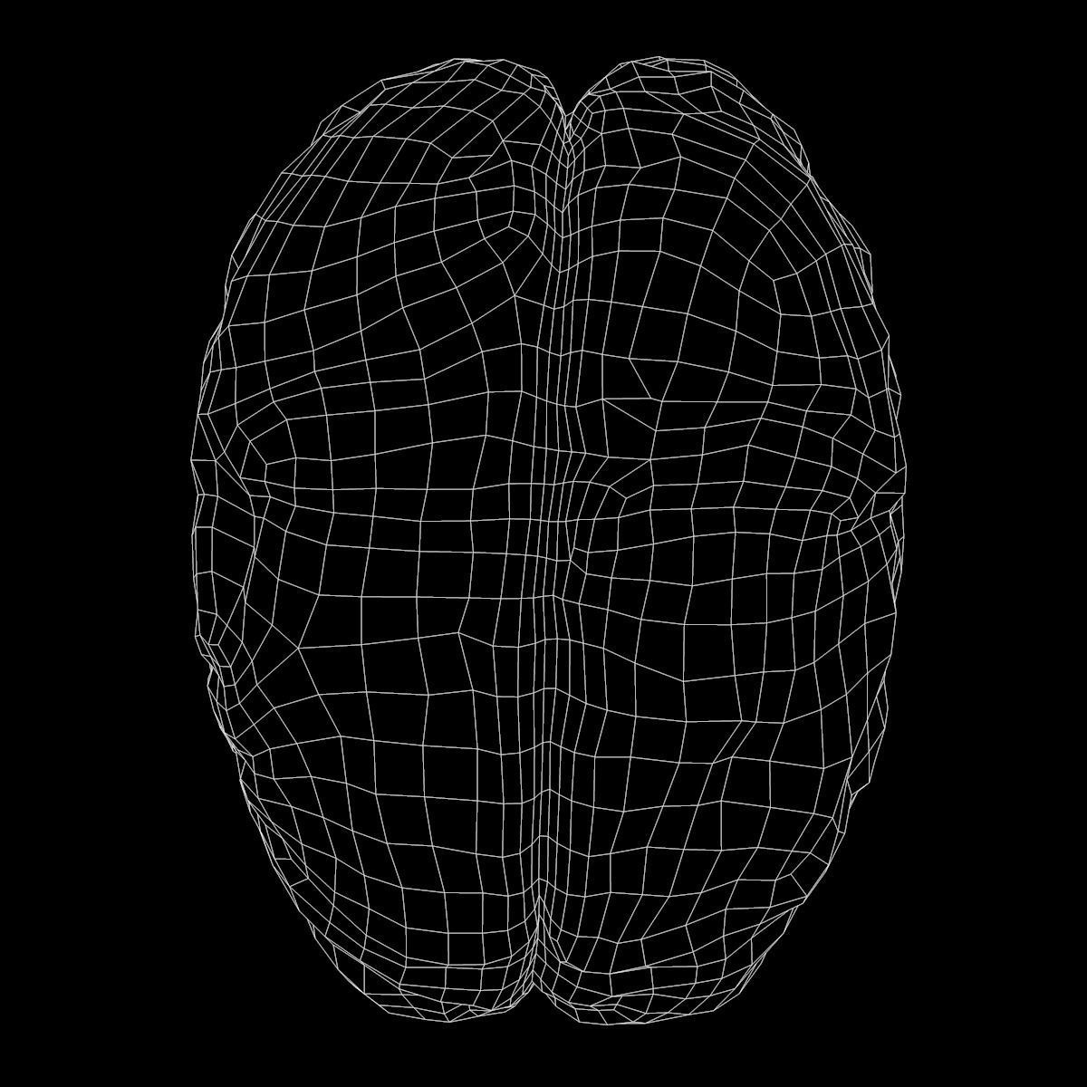 Human Brain Low-poly 3D model_10