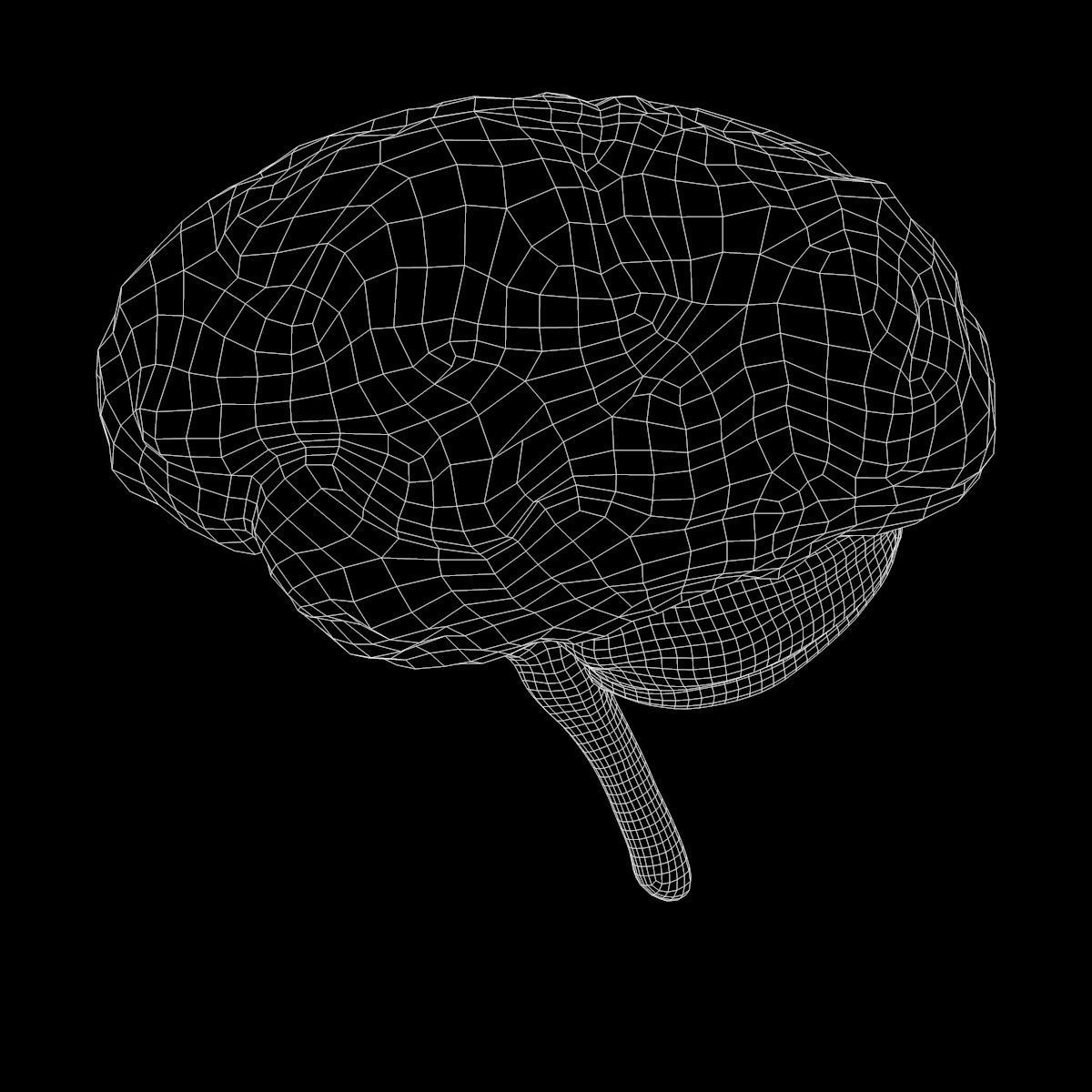 Human Brain Low-poly 3D model_9