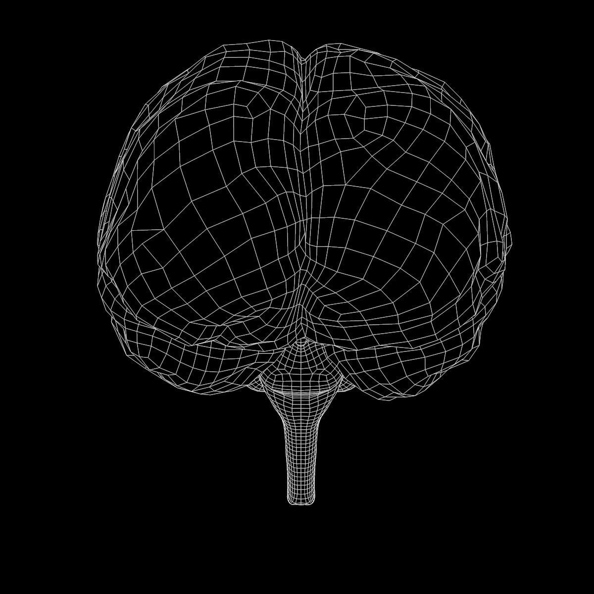 Human Brain Low-poly 3D model_8