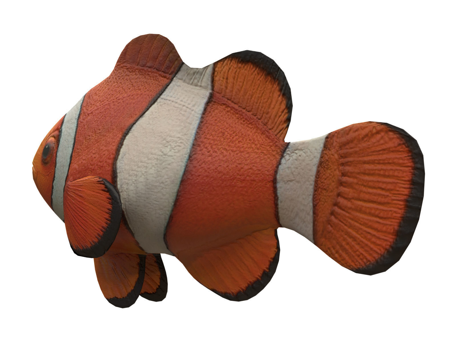 clown fish Low-poly 3D model_4