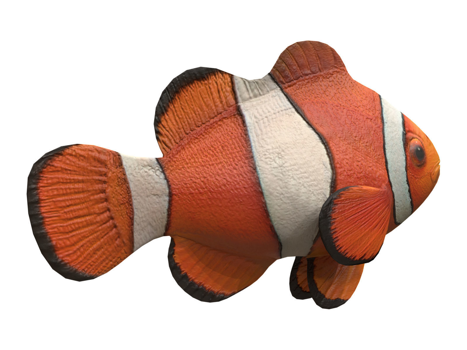 clown fish Low-poly 3D model_5