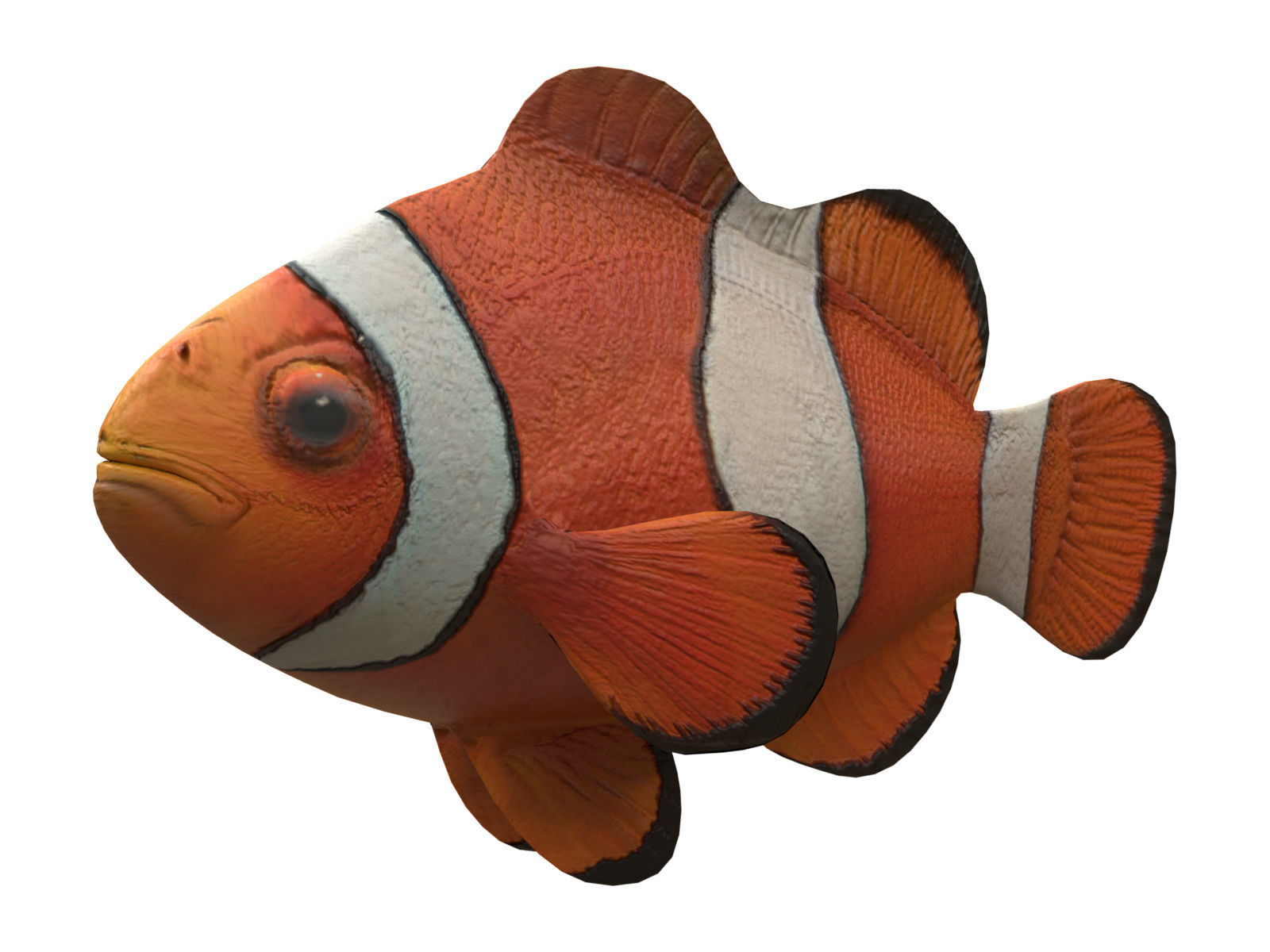 clown fish Low-poly 3D model_3