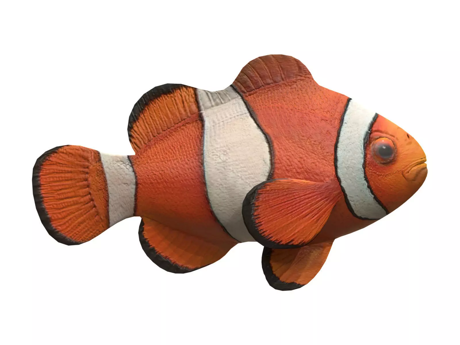 clown fish Low-poly 3D model_0