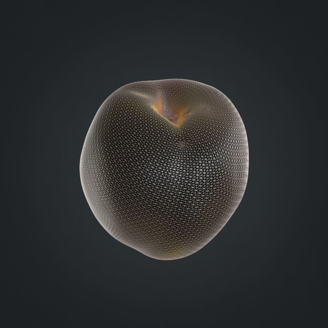 Nectarines pack Midpoly 3D model_18