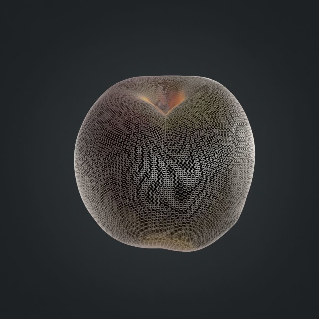 Nectarines pack Midpoly 3D model_17