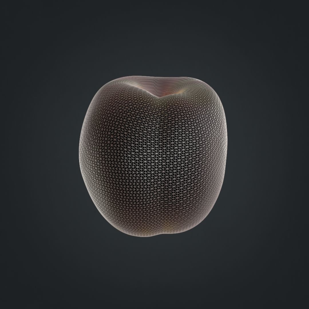 Nectarines pack Midpoly 3D model_19