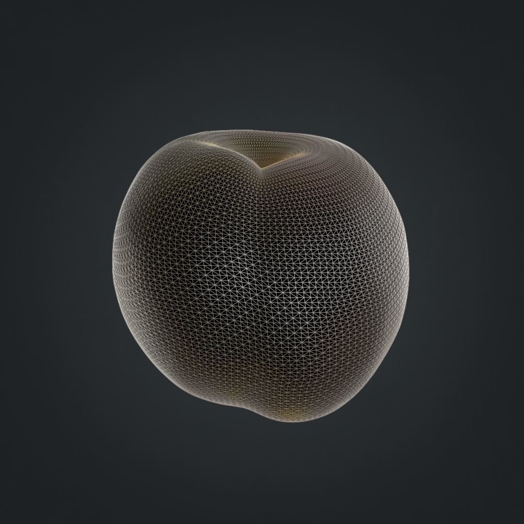 Nectarines pack Midpoly 3D model_20