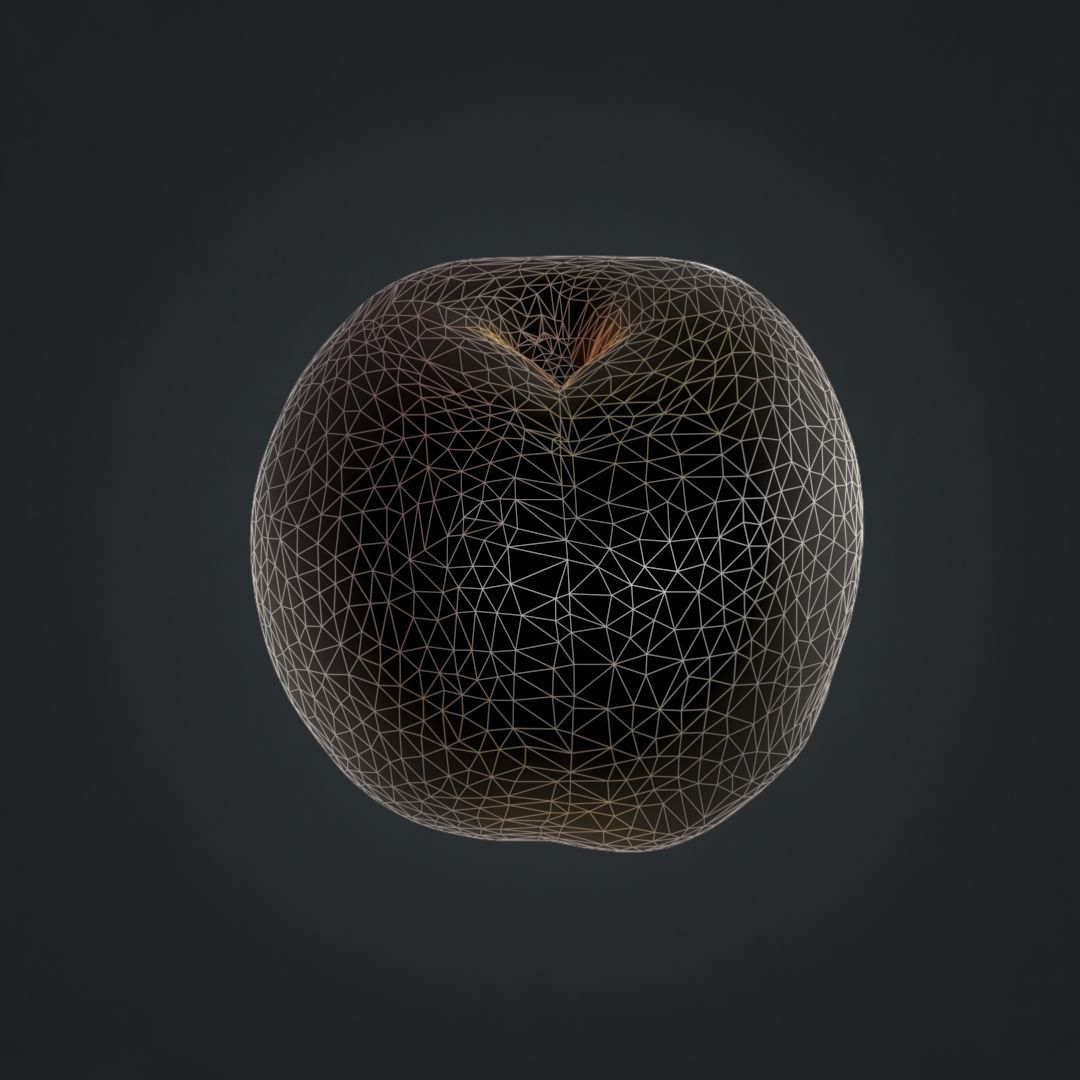 Nectarines pack Low-poly 3D model_16
