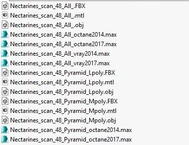 Nectarines pack Low-poly 3D model_26