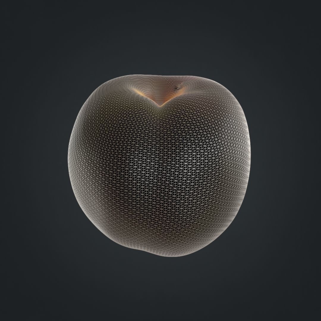 Nectarines pack Low-poly 3D model_22