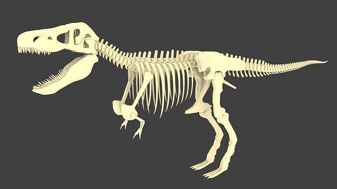 Tyrannosaurus Rex or T-Rex Dinosaur Skeleton Low-poly 3D model