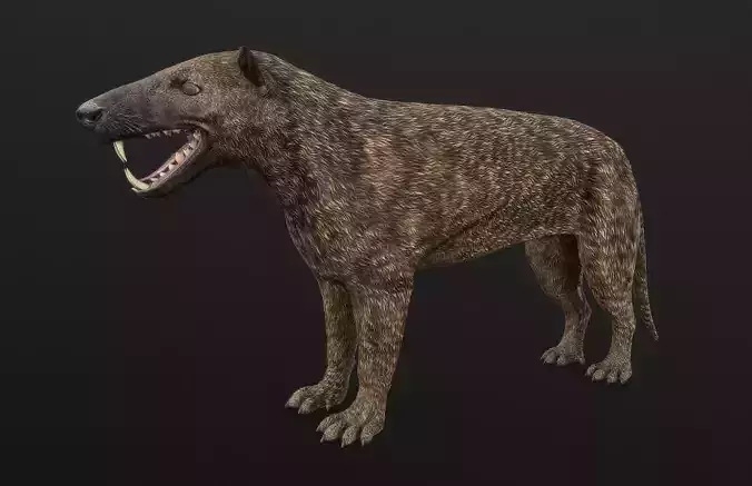 Hyaenodon horridus Low-poly 3D model