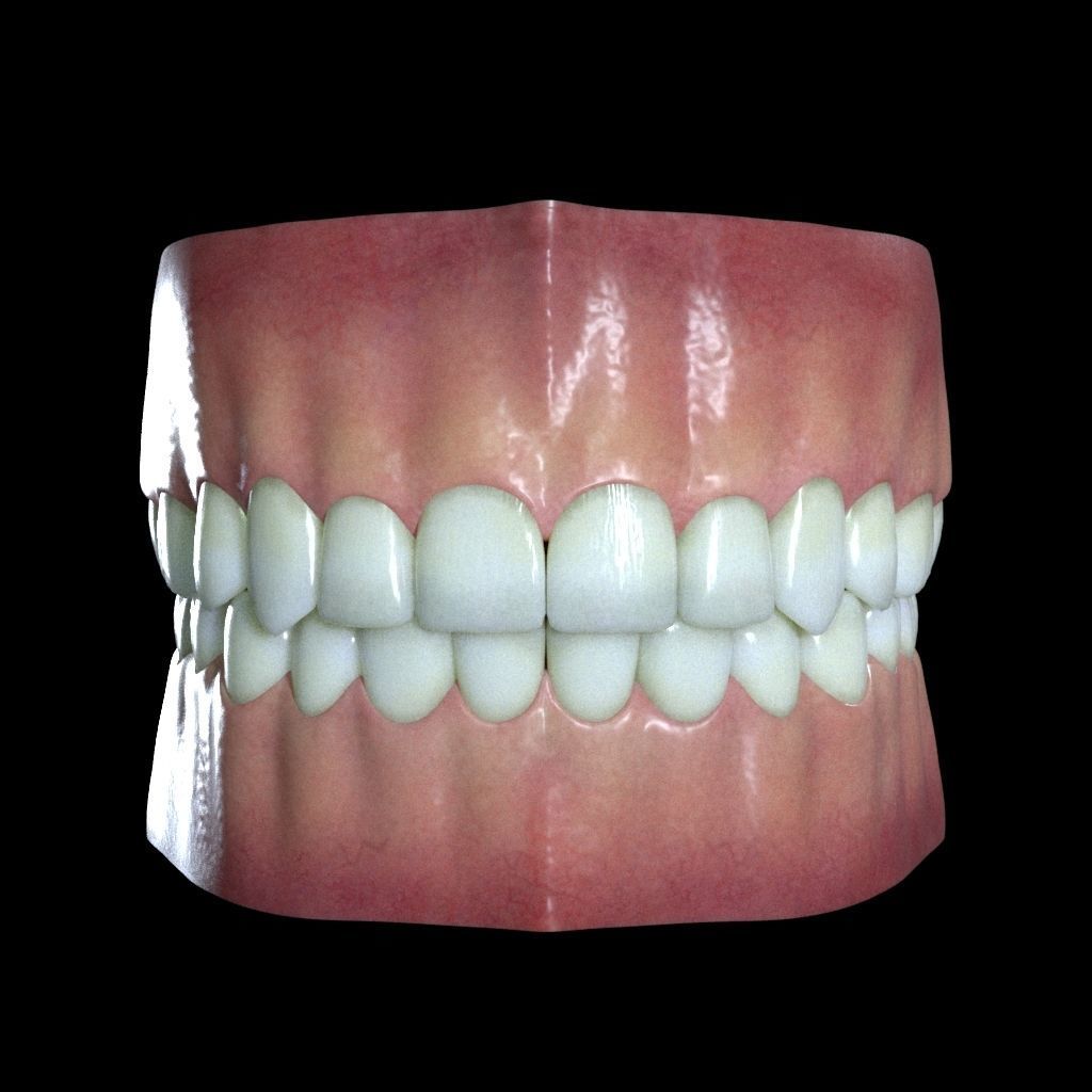 Teeth and Gums 3D model_2