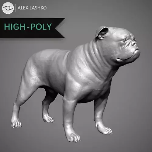 English Bulldog High-Poly 3D print model