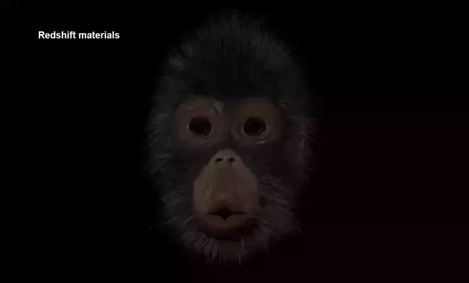 Orangutan head with some morphs