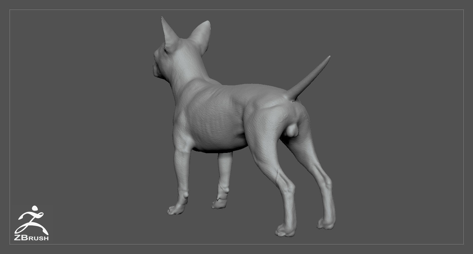 Chihuahua High-Poly 3D print model_5