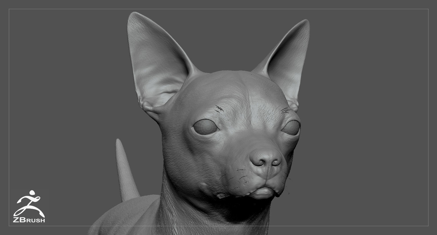 Chihuahua High-Poly 3D print model_6