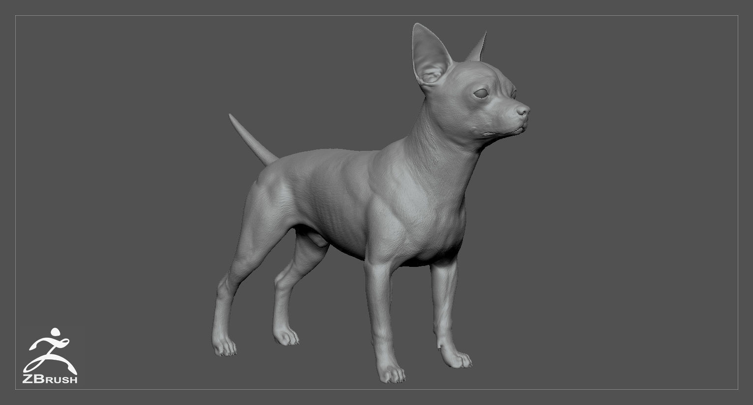 Chihuahua High-Poly 3D print model_1