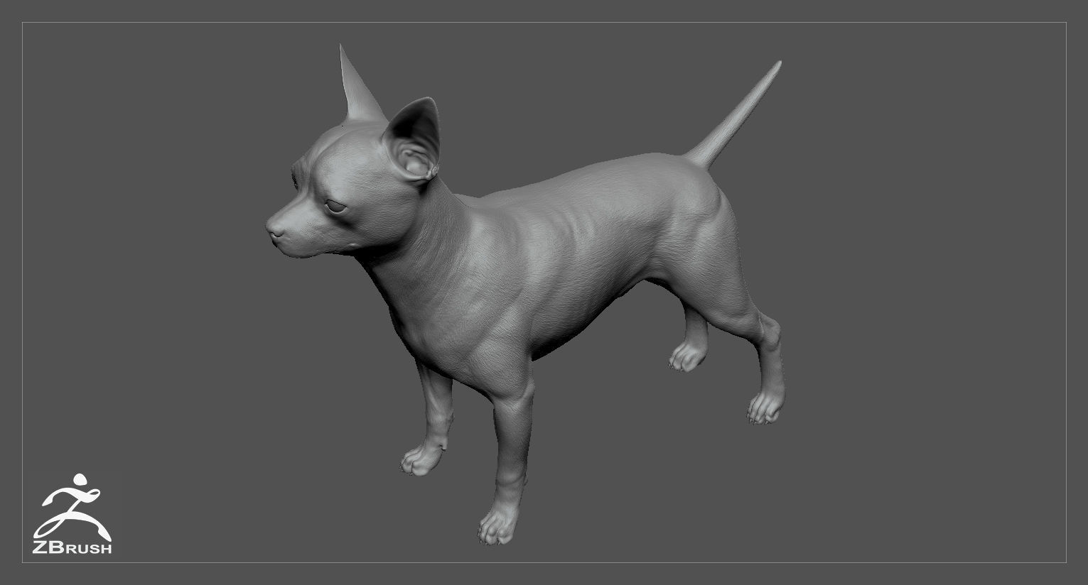 Chihuahua High-Poly 3D print model_3