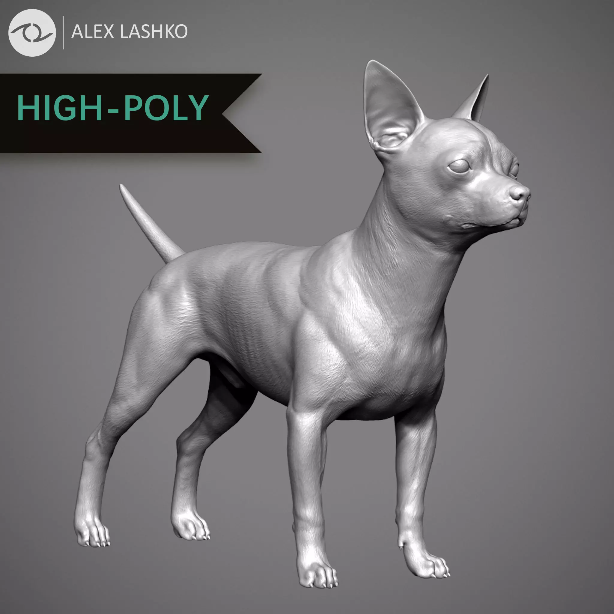 Chihuahua High-Poly 3D print model_0