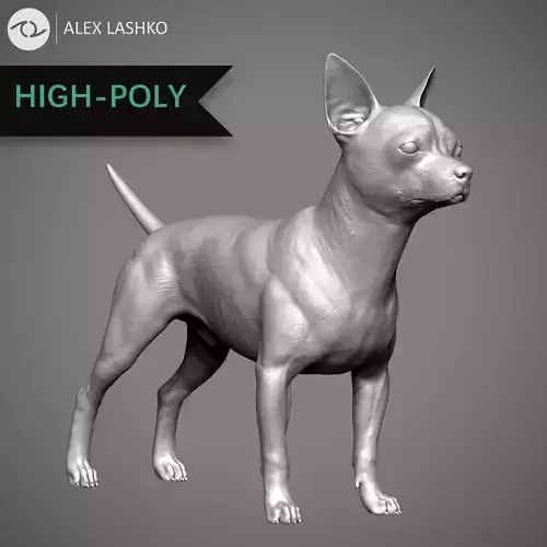 Chihuahua High-Poly 3D print model