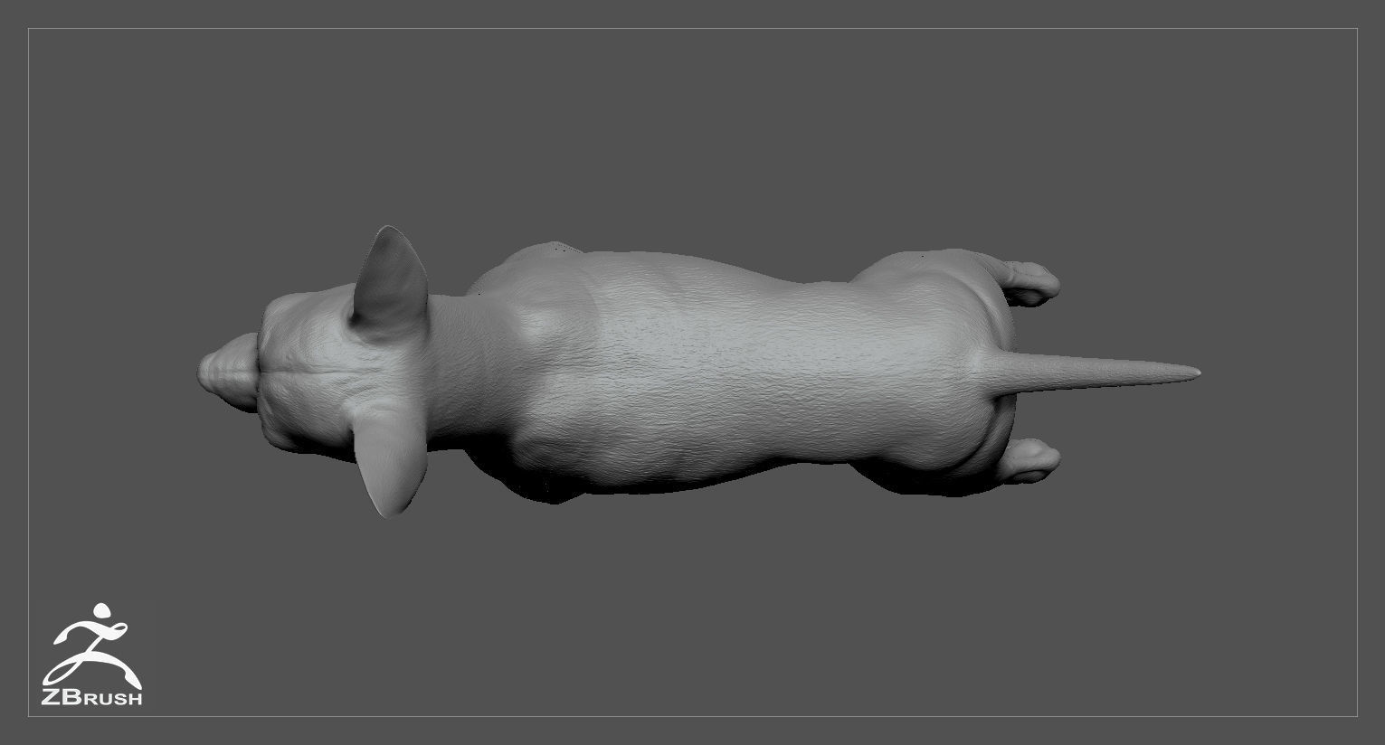 Chihuahua High-Poly 3D print model_4