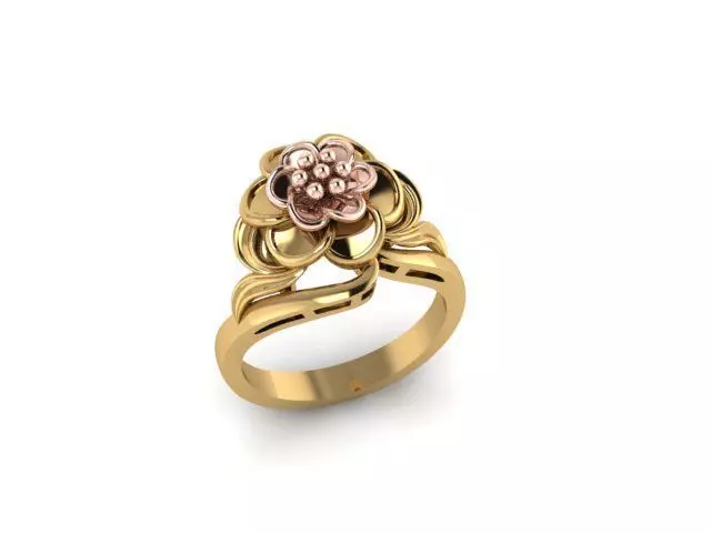FLOWERING RINGS 3D print model