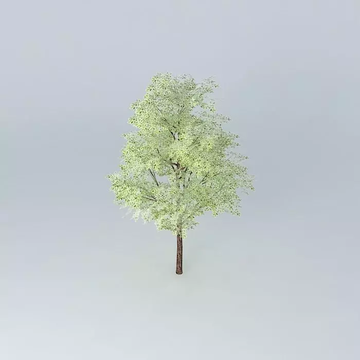 University Club Free 3D model_0