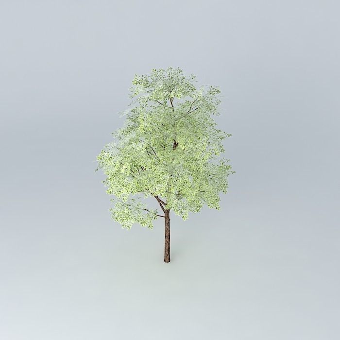 University Club Free 3D model_1