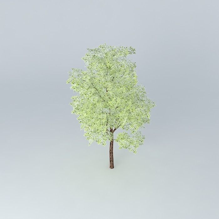 University Club Free 3D model_2