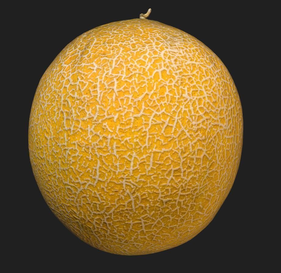 Sweet Melon Low-poly 3D model_3