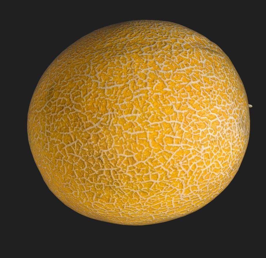 Sweet Melon Low-poly 3D model_1