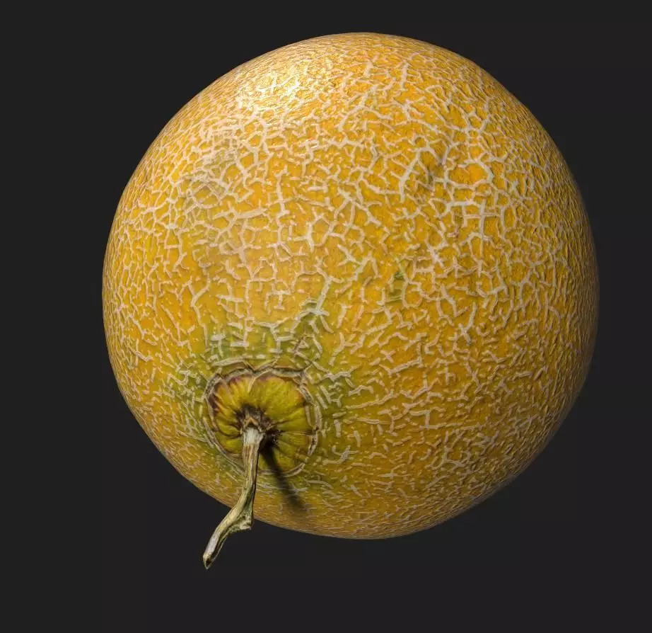 Sweet Melon Low-poly 3D model_0