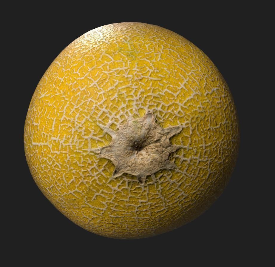 Sweet Melon Low-poly 3D model_2