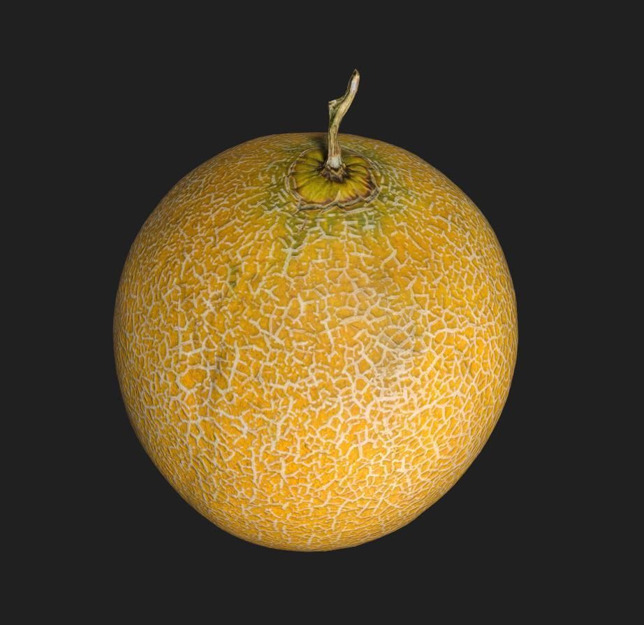 Sweet Melon Low-poly 3D model_4