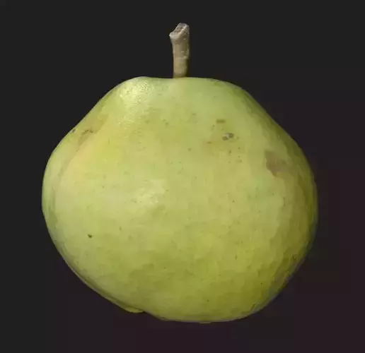 Fat Pear