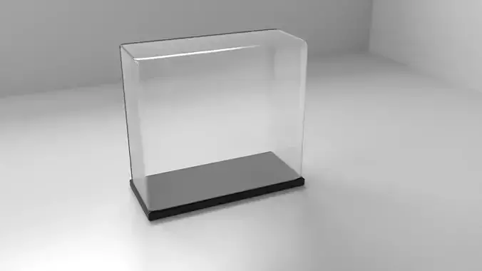 Acrylic Case 3