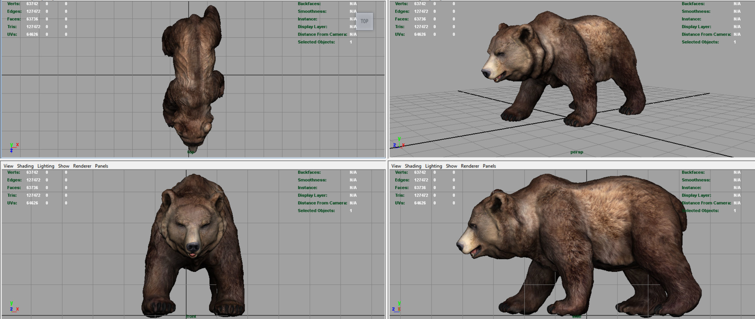 GRIZZLY BEAR Low-poly 3D model_5