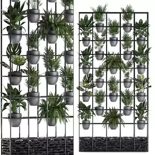Plants collection Vertical gardening 25